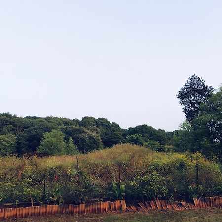Laforesta By Mahabaleshwar Stay Eksteriør bilde