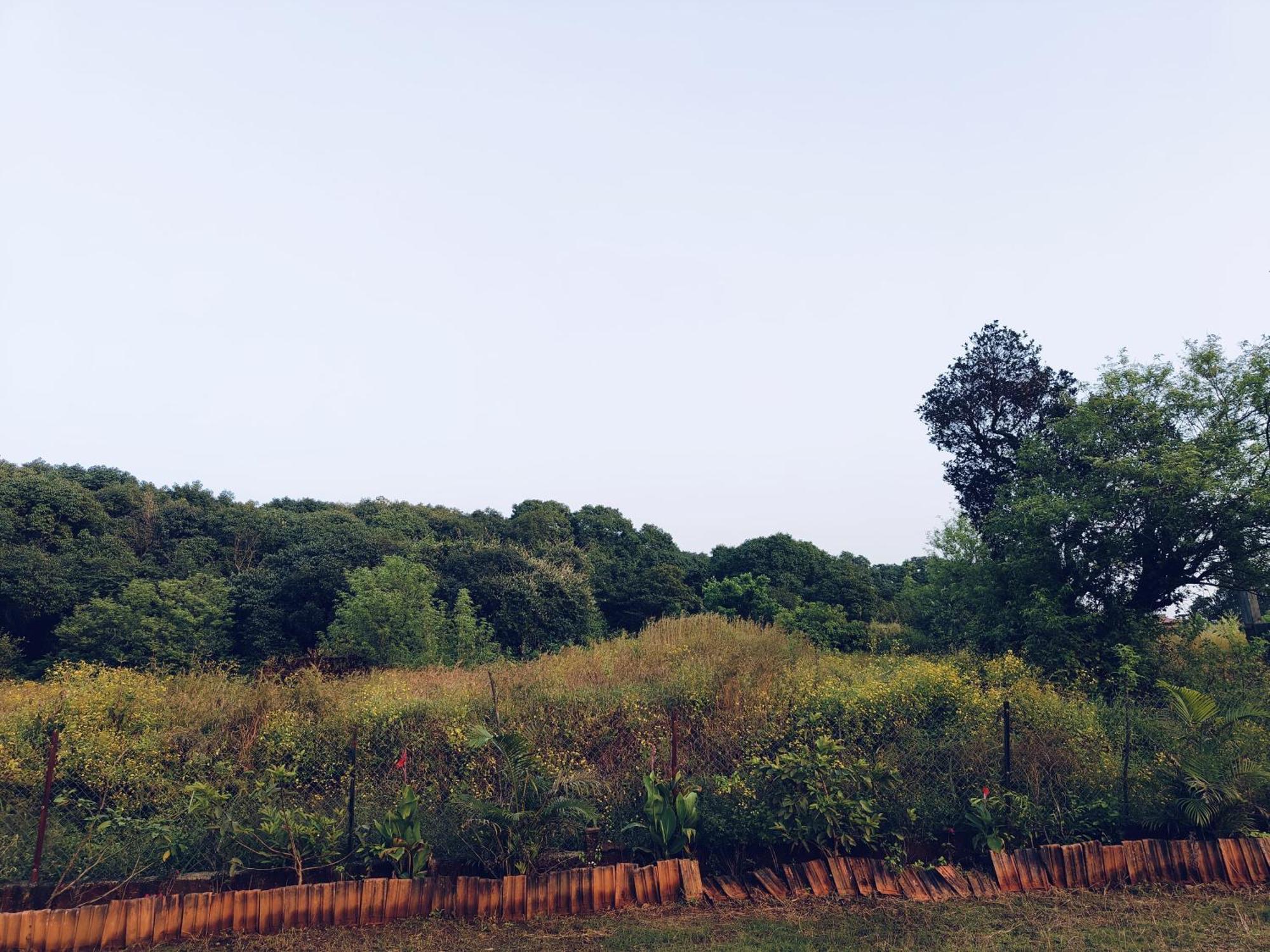 Laforesta By Mahabaleshwar Stay Eksteriør bilde